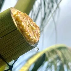 Túi 300g Đường hoa dừa Sokfarm - đường không tinh luyện từ mật hoa dừa