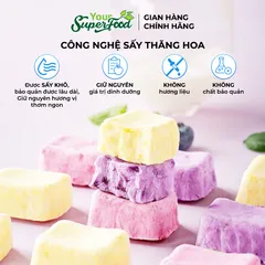 Sữa Chua Sấy Thăng Hoa Ít Đường, Mix 05 Vị, Hũ 90g - Your Superfood