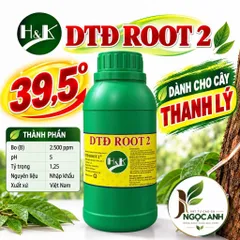 H&K DTD Root 2 Kích mủ cây cao su thanh lý (Th - trắng 39,5 độ)