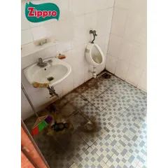 Nước Tẩy Rửa Làm Trắng Đồ Dùng Bằng Sứ ZIPPRO - Vệ Sinh Bồn Cầu, Bồn Tắm, Lavabo - Sạch Ngay Sau 1 lần chà.