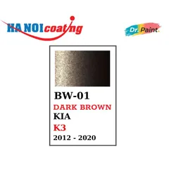 Bình sơn Xịt Xóa Vết Xước Xe Ô tô KIA K3 Màu NÂU BÓNG ĐÊM Code BW-01 - DARK BROWN chính hãng DR.PAINT
