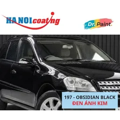 Bình sơn Xịt Xóa Vết Xước Xe Ô tô MERCEDES ML280 Màu ĐEN ÁNH KIM Code 197 - OBSIDIAN BLACK chính hãng DR.PAINT