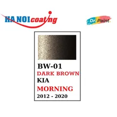 Bình sơn Xịt Xóa Vết Xước Xe Ô tô KIA MORNING Màu NÂU BÓNG ĐÊM Code BW-01 - DARK BROWN chính hãng DR.PAINT