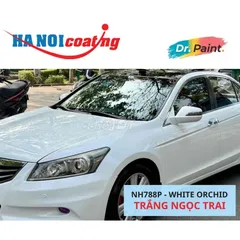 Bình Xịt Sơn Xóa Vết Xước Xe HONDA ACCORD Màu TRẮNG NGỌC TRAI code NH788P - WHITE ORCHID chính hãng DR.PAINT