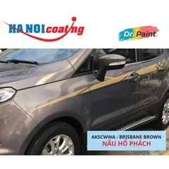 Bình Sơn Xịt Xóa Vết Xước Xe Ô tô FORD ECOSPORT Màu NÂU HỔ PHÁCH code AK5CWWA - BRISBANE BROWN chính hãng DR.PAINT