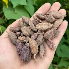 Thảo Quả Đỏ – Gia Vị Nấu Phở, Hầm Xương, Nấu Nước Dùng, Chế Biến Món Ănd