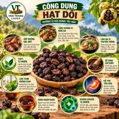 Hạt Dổi Rừng Khô – Gia Vị Đặc Sản Tây Bắc, Làm Muối Chấm Chẩm Chéo, Ướp Thịt Nướng