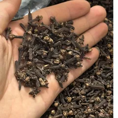 Nụ Đinh Hương Khô Tự Nhiên – Gia Vị Nấu Phở, Hầm Xương, Nấu Ăn, Tạo Hương Thơm 200g, 500g, 1kg
