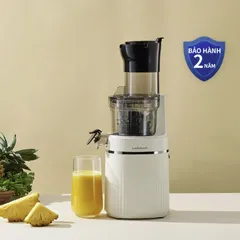 Máy Ép Chậm Locknlock Bianco Slow Juicer 0.8L EJJ421IVY Ép Hoa Quả Trái Cây Kiệt Bã - Bảo Hành 2 Năm