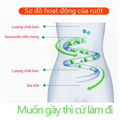 Trà detox giảm cân nhập khẩu Nhật Bản,trà detox,giảm cân nhanh,7 ngày giảm cân cấp tốc 20pcs,kiểm soát cân nặng