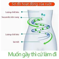 7 ngày trà giảm cân hiệu quả Trà bụng giảm béo thảo dược không phục hồi trà giảm cân lành mạnh nhẹ nhàng