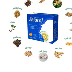 Kẹo ngậm thảo mộc Zalocol - Giúp dịu họng, hỗ trợ giảm khản tiếng (Hộp 20 viên)