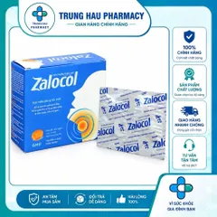 Kẹo ngậm thảo mộc Zalocol - Giúp dịu họng, hỗ trợ giảm khản tiếng (Hộp 20 viên)