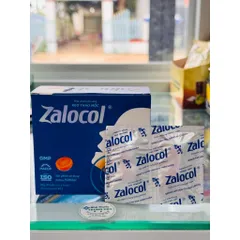 Kẹo ngậm thảo mộc Zalocol - Giúp dịu họng, hỗ trợ giảm khản tiếng (Hộp 20 viên)