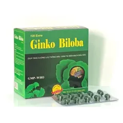 Bổ não GINKO BILOBA 120mg Vinaphar - Hộp 100 viên
