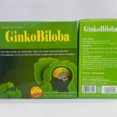 Bổ não GINKO BILOBA 120mg Vinaphar - Hộp 100 viên