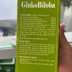 Bổ não GINKO BILOBA 120mg Vinaphar - Hộp 100 viên