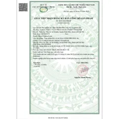 Bổ não GINKO BILOBA 120mg Vinaphar - Hộp 100 viên