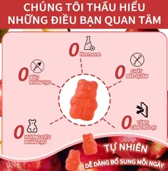 Kẹo Dẻo Giấm Táo VTÉAY Vitamin B12, B9 Hỗ Trợ Tiêu Hóa, Giữ Dáng Apple Cider Vinegar Gummies (Hộp 60 Viên)