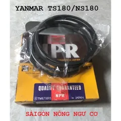 Bạc xéc măng Nhật Bản máy Yanmar TF65 TF70 TF105 TF110 NS10 TS120 RK70 RV70 EA8