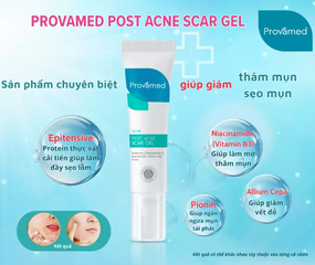 Gel Bôi Provamed Post Acne Scar Gel 10g - Hỗ Trợ Giảm Thâm, Sẹo Mụn, Tái Tạo Da Nhạy Cảm, Làm Mờ Vết Thâm Và Phục Hồi Da Mịn Màng.