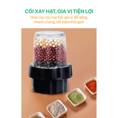 Máy xay sinh tố đa năng Roler RB-4101 công suất 500W