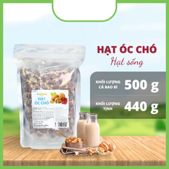 Hạt óc chó đỏ tách vỏ Giọt Nắng dạng sống