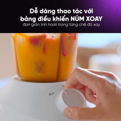 Máy xay sinh tố đa năng 3 cối Philips HR2041/30 450W