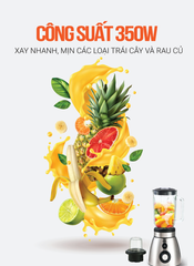 Máy xay sinh tố đa năng 2 cối Roler RB-4107 350W