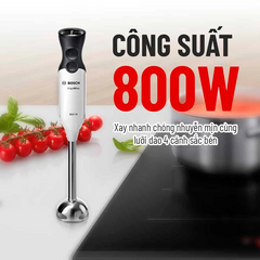 Máy xay cầm tay Bosch MS6CA4150G của Đức