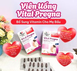 (Hàng nhập khẩu) Viên uống Vitamin Aktiv Vital Pregna Doppelherz cho Bà Bầu
