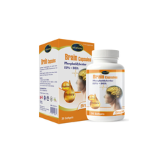 (Hàng nhập khẩu) Viên uống hỗ trợ não bộ VitaGold Brain Capsules