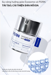 (Hàng nhập khẩu) Kem dưỡng BEAUTYdrama PDRN Exosome Shot Skin Cream 50g - Hỗ Trợ Phục Hồi Da, Làm Dịu, Tăng Độ Đàn Hồi