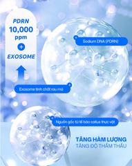 (Hàng nhập khẩu) Kem dưỡng BEAUTYdrama PDRN Exosome Shot Skin Cream 50g - Hỗ Trợ Phục Hồi Da, Làm Dịu, Tăng Độ Đàn Hồi
