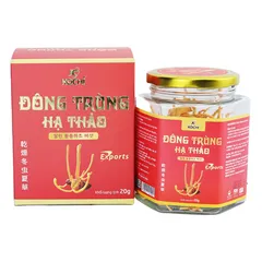 (Chính hãng) Combo 2 hộp Đông trùng hạ thảo Kochi xuất khẩu