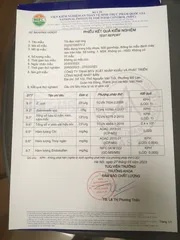 (Hàng chính hãng) Tỏi đen cô đơn ngâm mật ong nguyên chất Kochi - Hộp 500g