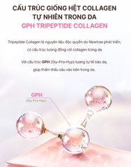 (Hàng nhập khẩu) Bột Uống Collagen Ever Collagen Time Newtree Hộp 30 Gói - Hỗ Trợ Da Căng Mịn Sáng Khỏe Từ Bên Trong
