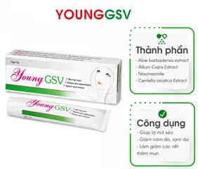(Hàng chính hãng) Gel Young GSV Tuýp 15g - Hỗ Trợ Làm Mờ Sẹo, Giảm Thâm Mụn