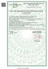 (Hàng chính hãng) Thực phẩm bảo vệ sức khỏe Bổ thần kinh Tín Phong - Hộp 30 viên