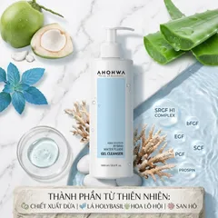 (Hàng nhập khẩu) Sữa Rửa Mặt Dạng Gel Ahohaw  Hybrid Water Fluide Gel Cleanser 1000ml - Dịu Nhẹ Cấp Ẩm Cho Mọi Loại Da