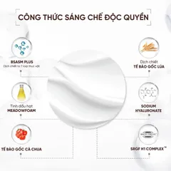 (Hàng nhập khẩu) Kem Massage Premium Therapy Massage Cream Ahohwa 1000ml - Hỗ Trợ Dưỡng Ẩm, Massage Nâng Cơ