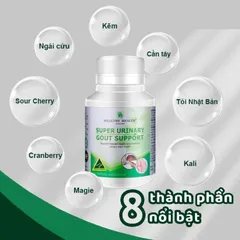 (Hàng nhập khẩu) Super Urinary Gout Support Hộp 100 Viên - Hỗ Trợ Xương Khớp Và Hệ Tiết Niệu