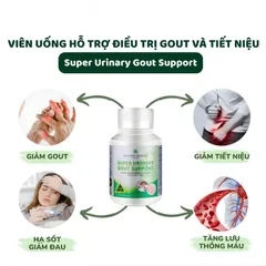 (Hàng nhập khẩu) Super Urinary Gout Support Hộp 100 Viên - Hỗ Trợ Xương Khớp Và Hệ Tiết Niệu