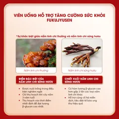 (Hàng nhập khẩu) Fukujyusen Hộp 180 Viên - Hỗ Trợ Tăng Cường Miễn Dịch