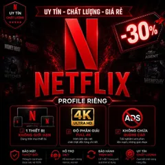 NETFLIX  PREMIUM 4K HDR - PROFILE RIÊNG