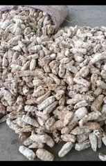 Quả Chuối Cô Đơn Khô Dùng Ngâm Tửu