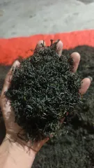 100g trà búp Thái Nguyên thượng hạng