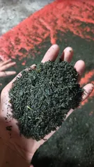 500g Trà Tấm Đinh Thượng Hạng