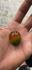 Bột làm trứng bắc thảo