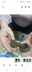 Bột làm trứng bắc thảo
